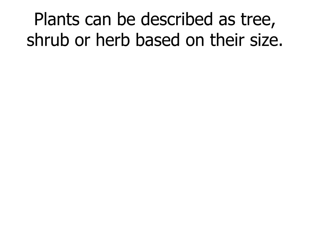 plants can be described as tree shrub or herb