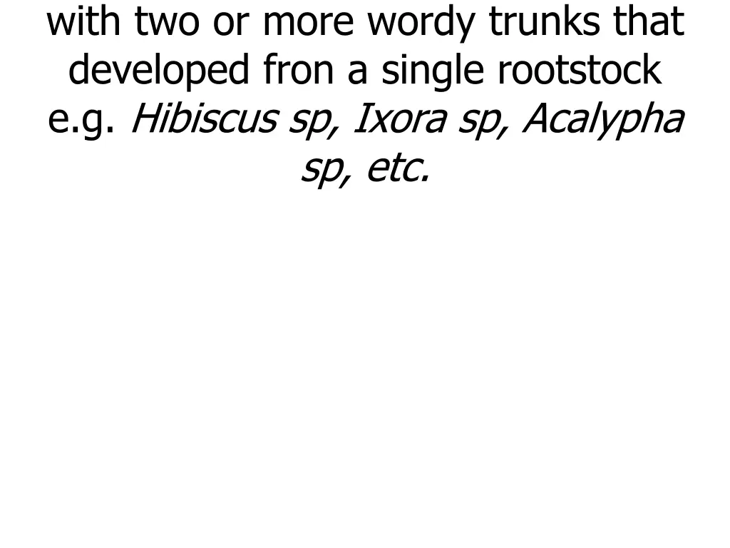 shrubs are plants or small trees with two or more