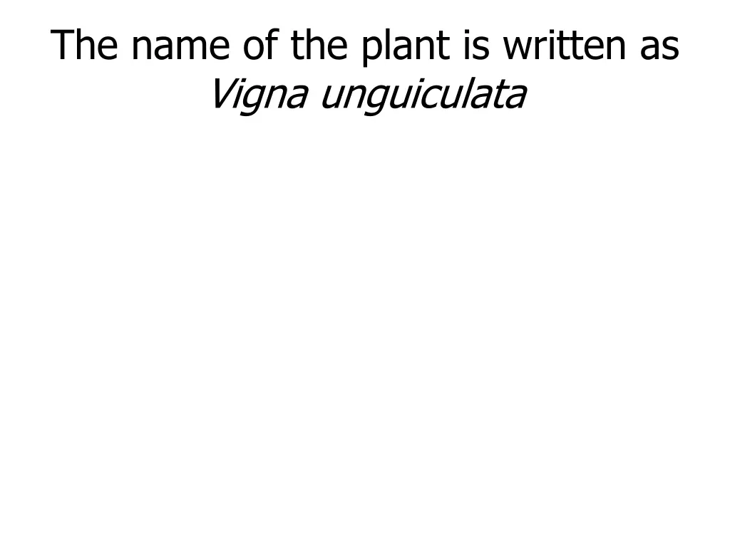 the name of the plant is written as vigna