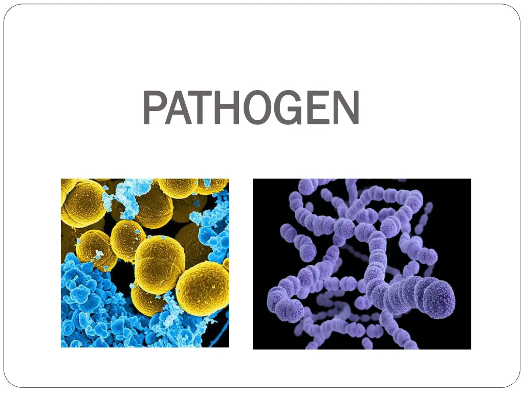 pathogen pathogen