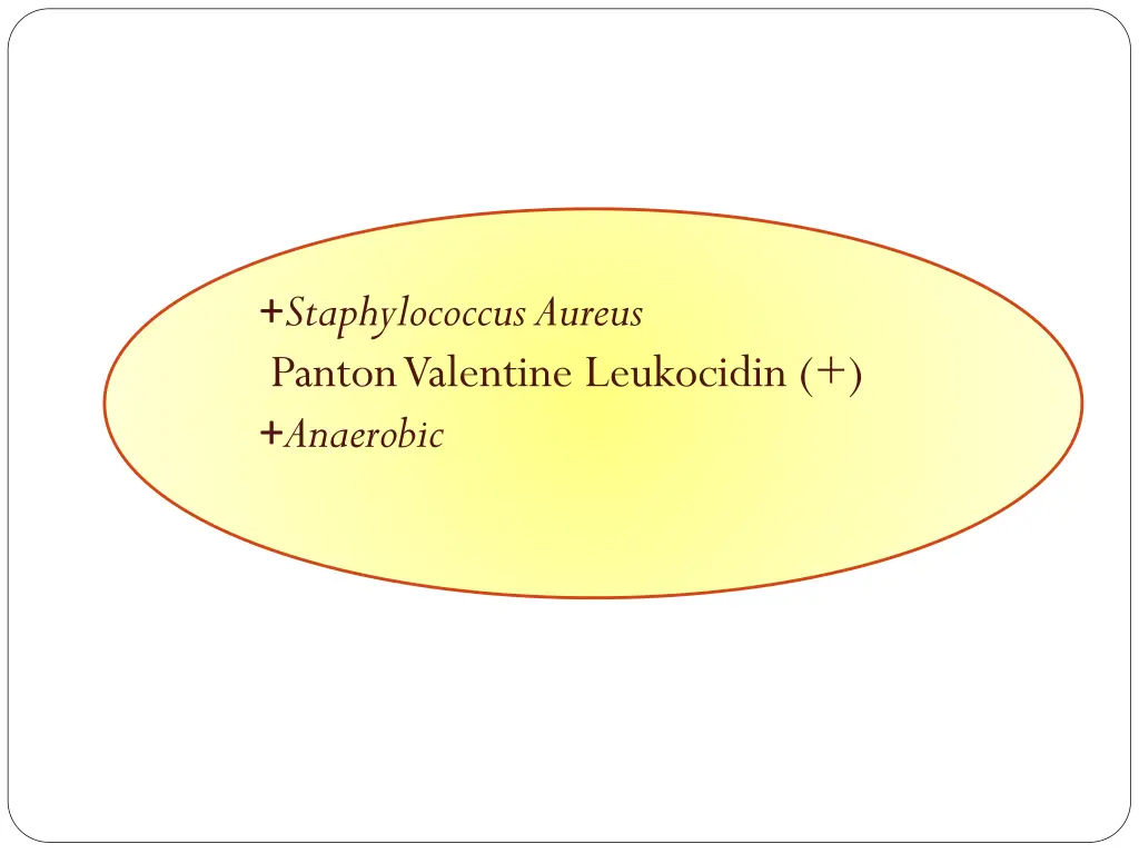 staphylococcus aureus panton valentine leukocidin