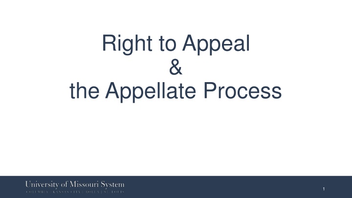 right to appeal the appellate process