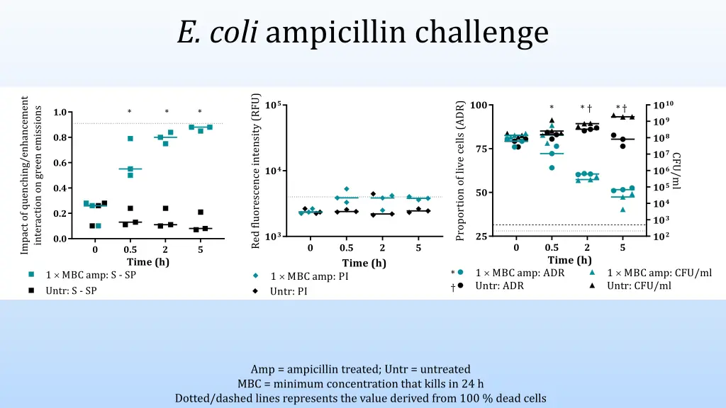 e coli ampicillin challenge 1