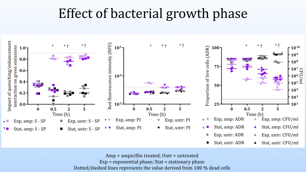 effect of bacterial growth phase