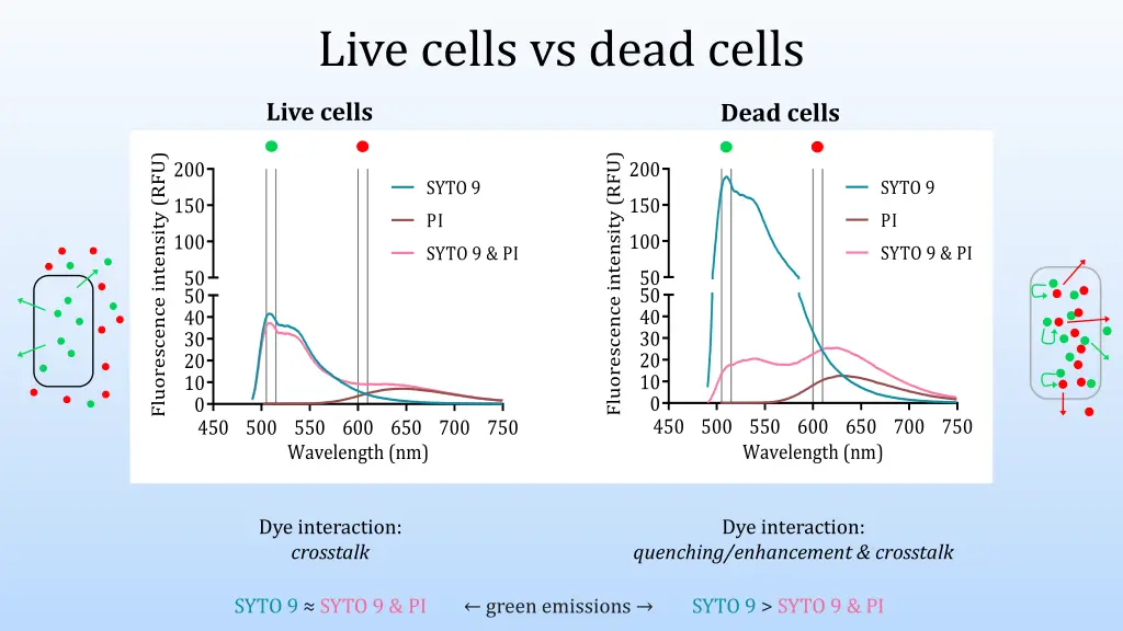 live cells vs dead cells