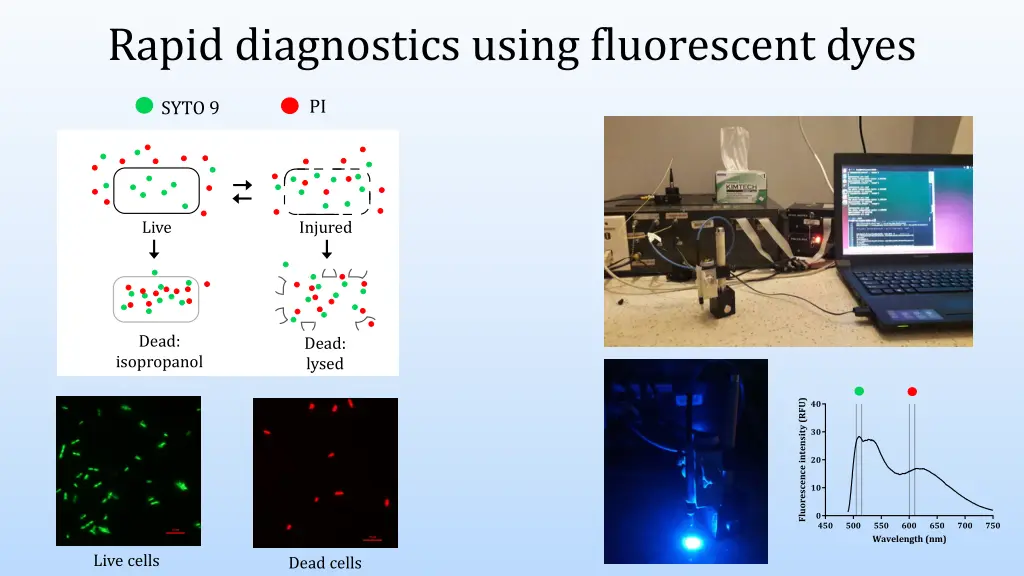 rapid diagnostics using fluorescent dyes