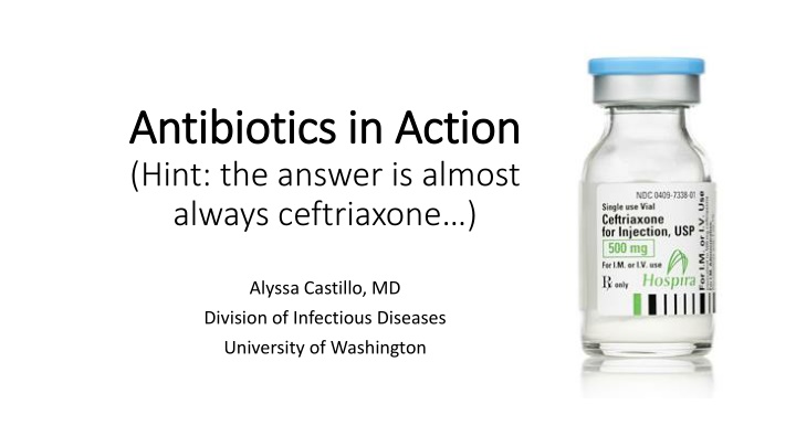 antibiotics in action antibiotics in action hint