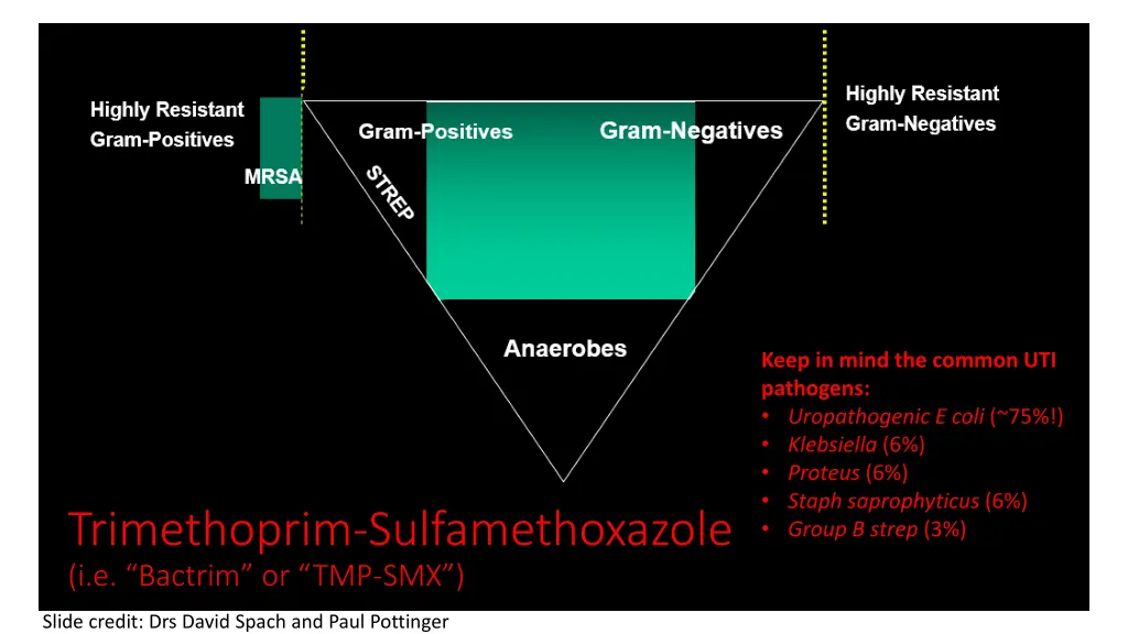 keep in mind the common uti pathogens