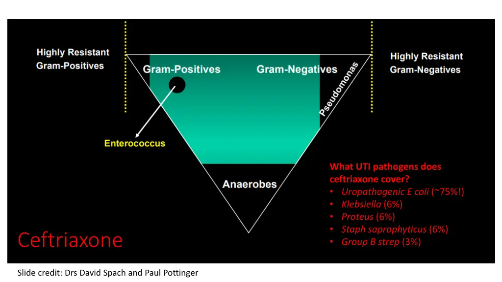 what uti pathogens does ceftriaxone cover