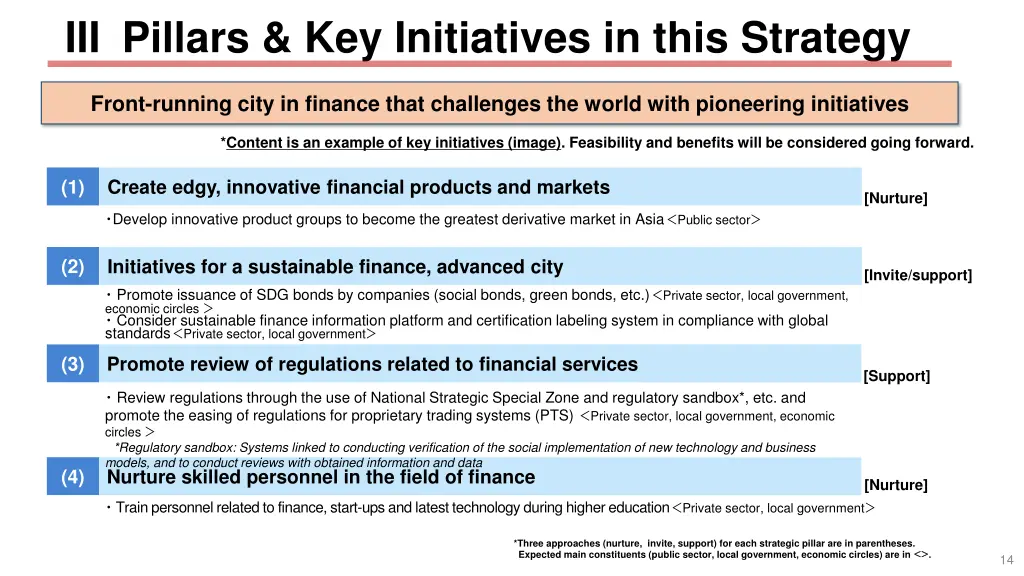 iii pillars key initiatives in this strategy 2