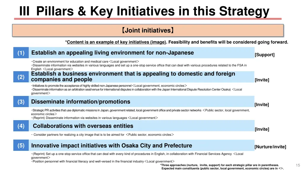 iii pillars key initiatives in this strategy 3