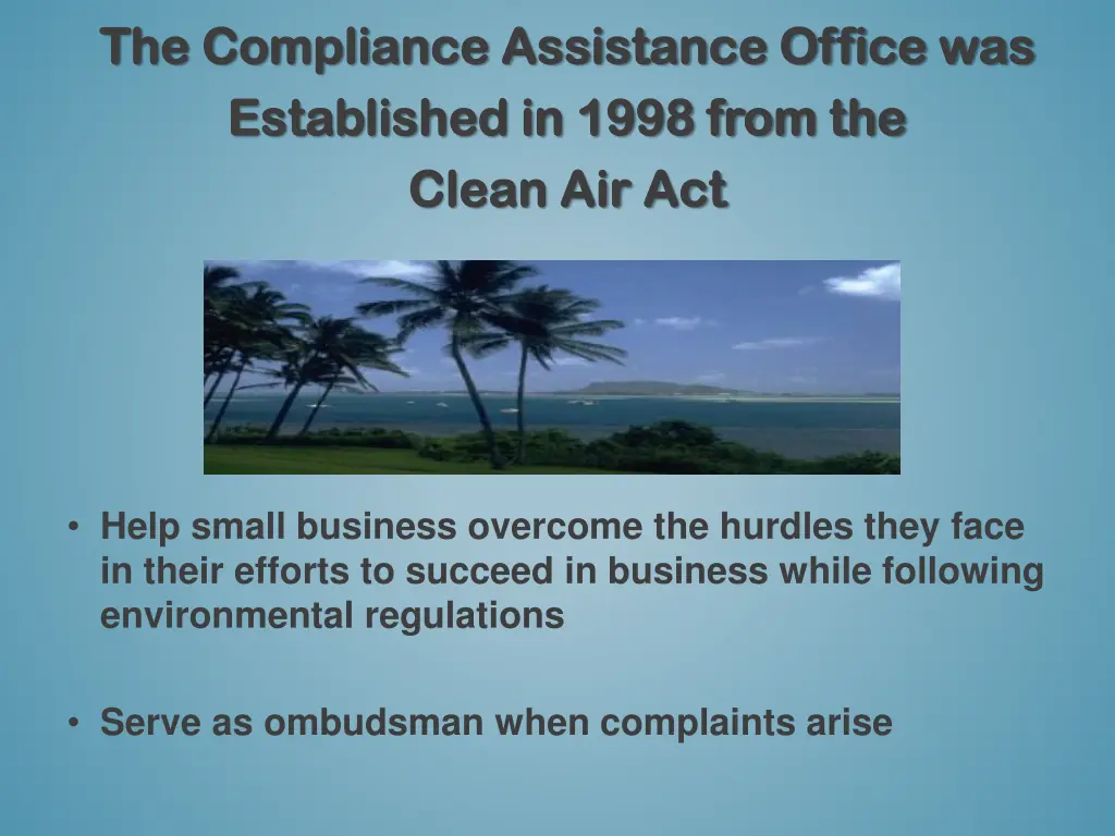 the compliance assistance office