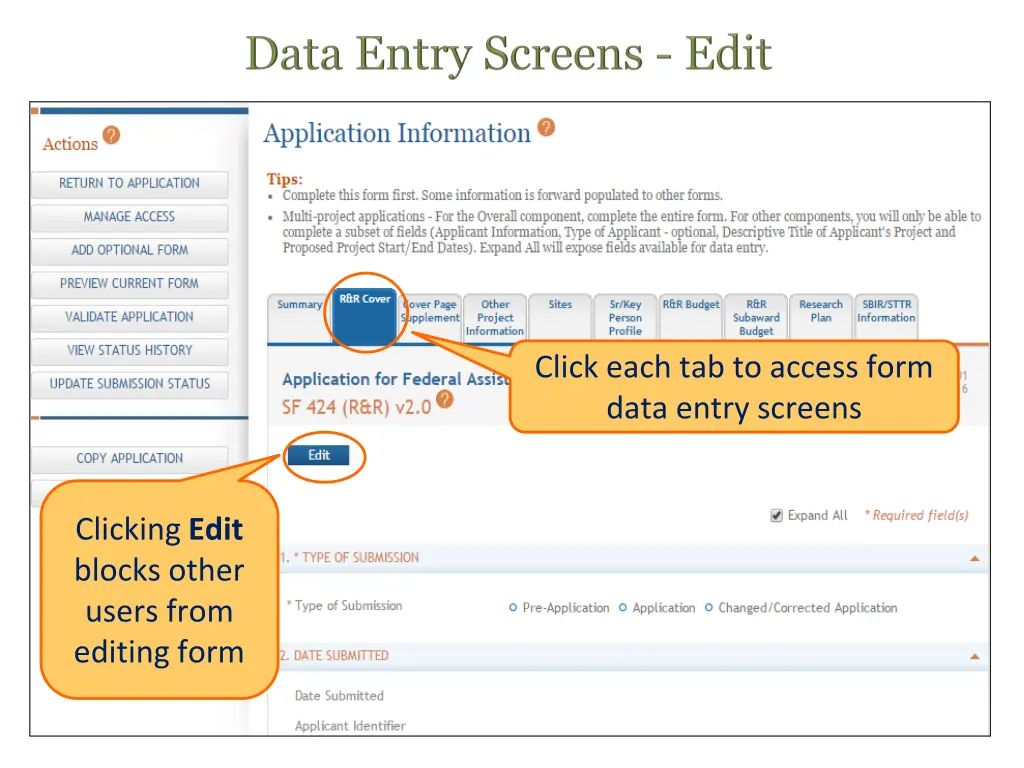 click each tab to access form data entry screens