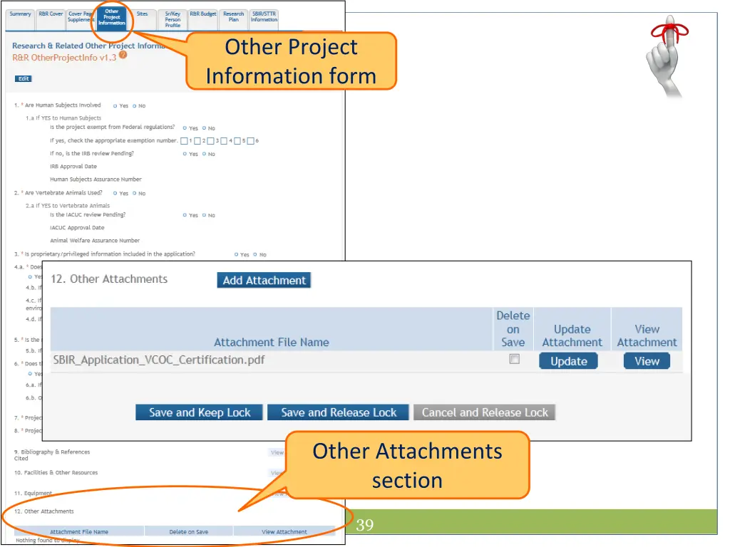 other project information form