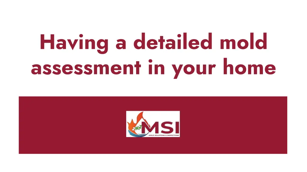 having a detailed mold assessment in your home