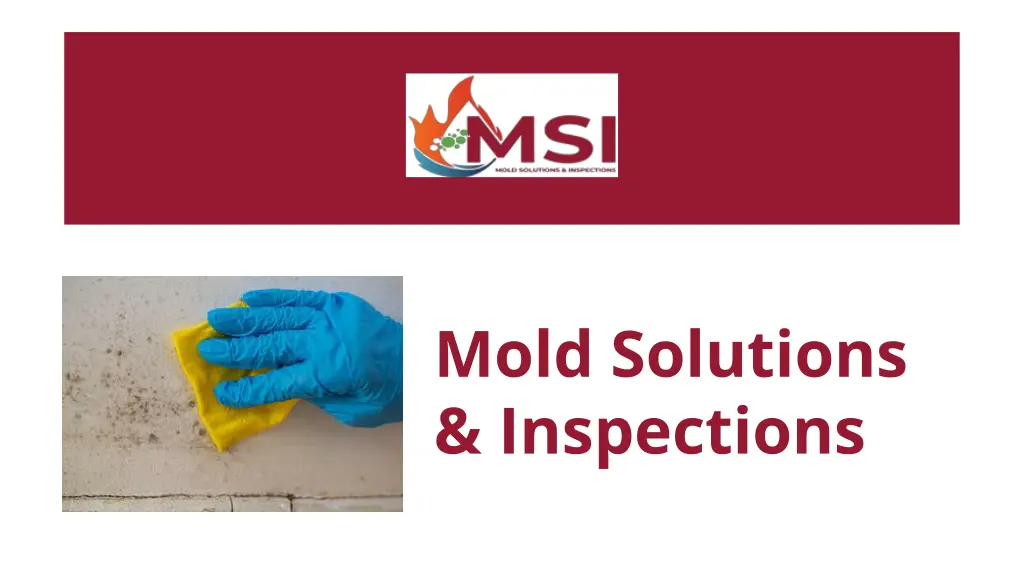 mold solutions inspections