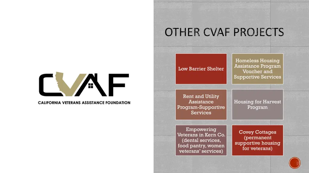 other cvaf projects