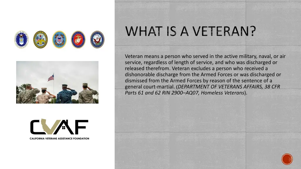 what is a veteran