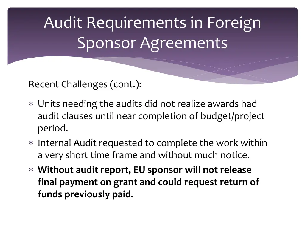 audit requirements in foreign sponsor agreements 6