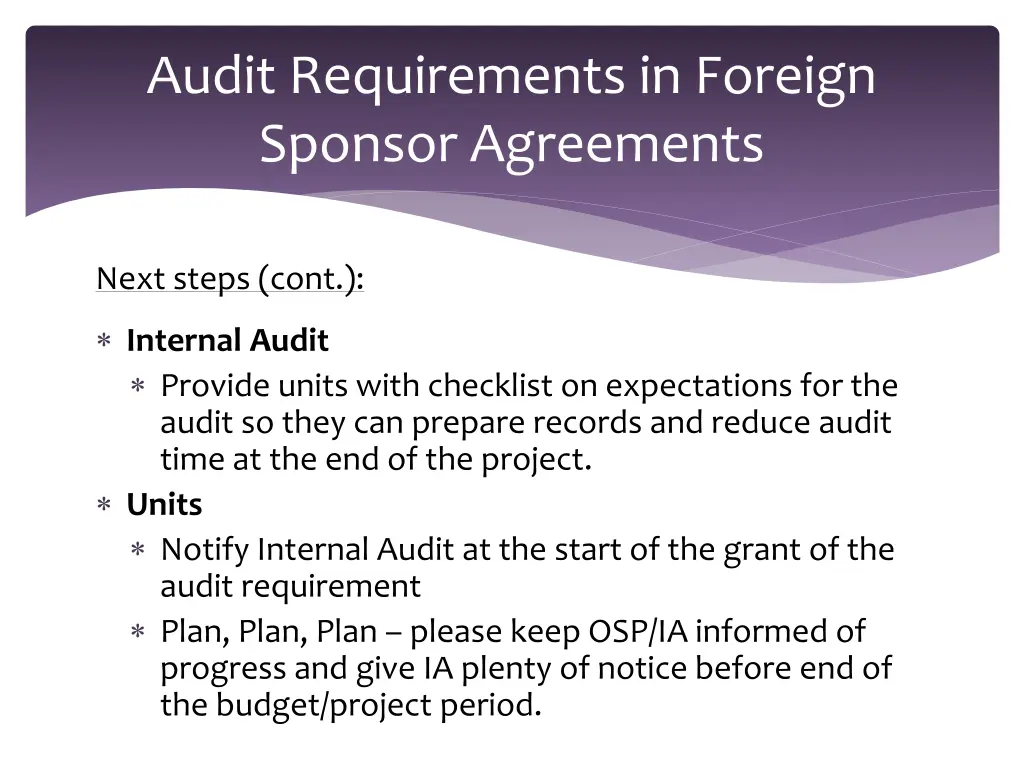 audit requirements in foreign sponsor agreements 8