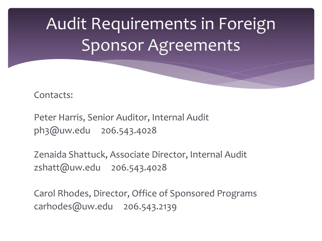 audit requirements in foreign sponsor agreements 9