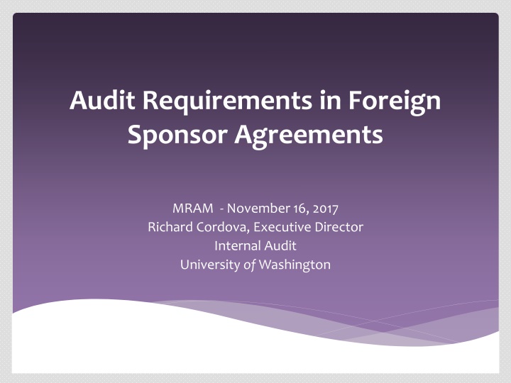 audit requirements in foreign sponsor agreements