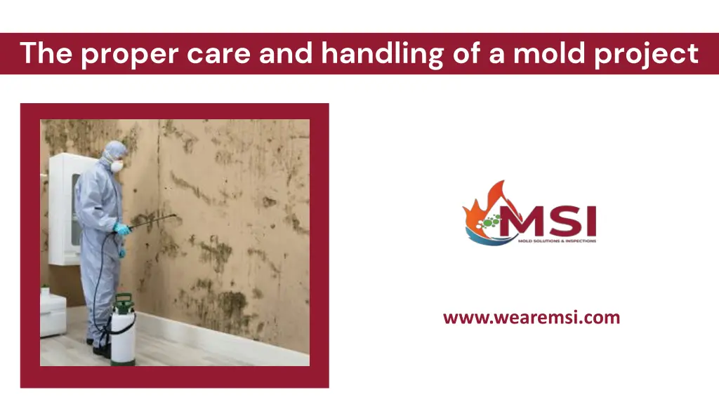 the proper care and handling of a mold project