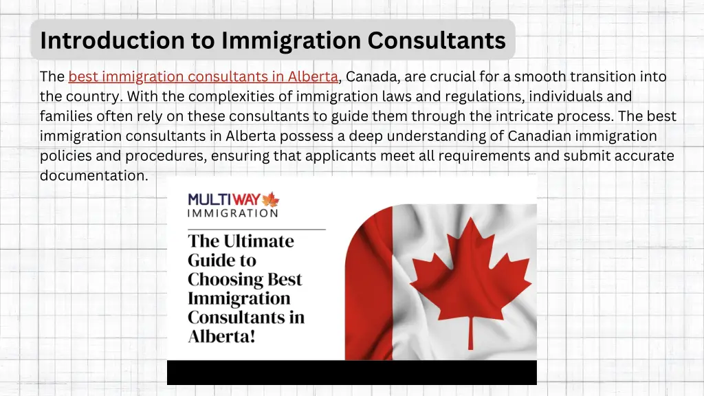 introduction to immigration consultants