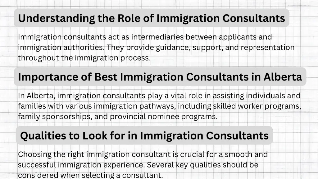 understanding the role of immigration consultants