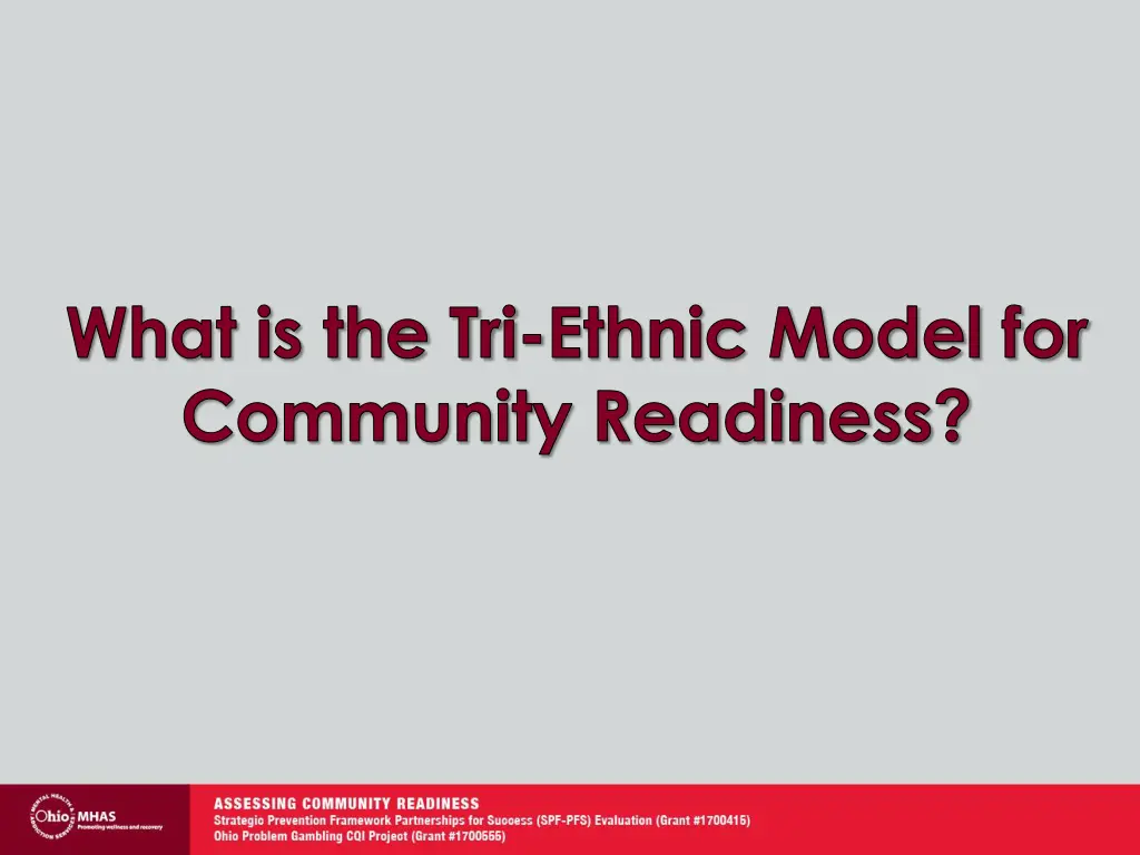 what is the tri ethnic model for community