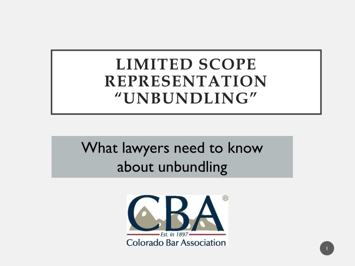 limited scope representation unbundling