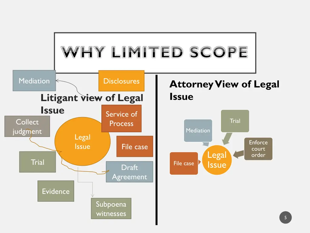 why limited scope 1