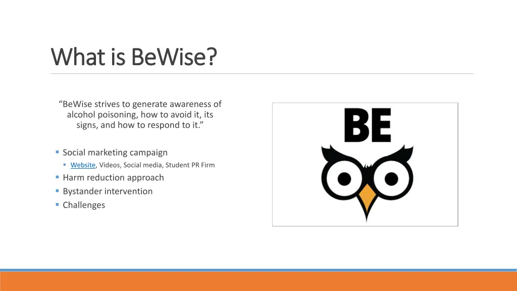 what is bewise what is bewise