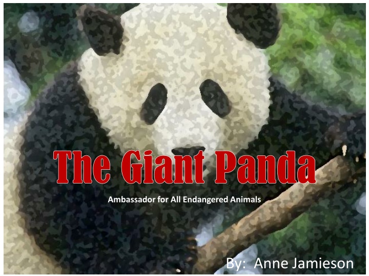 the giant panda the giant panda ambassador