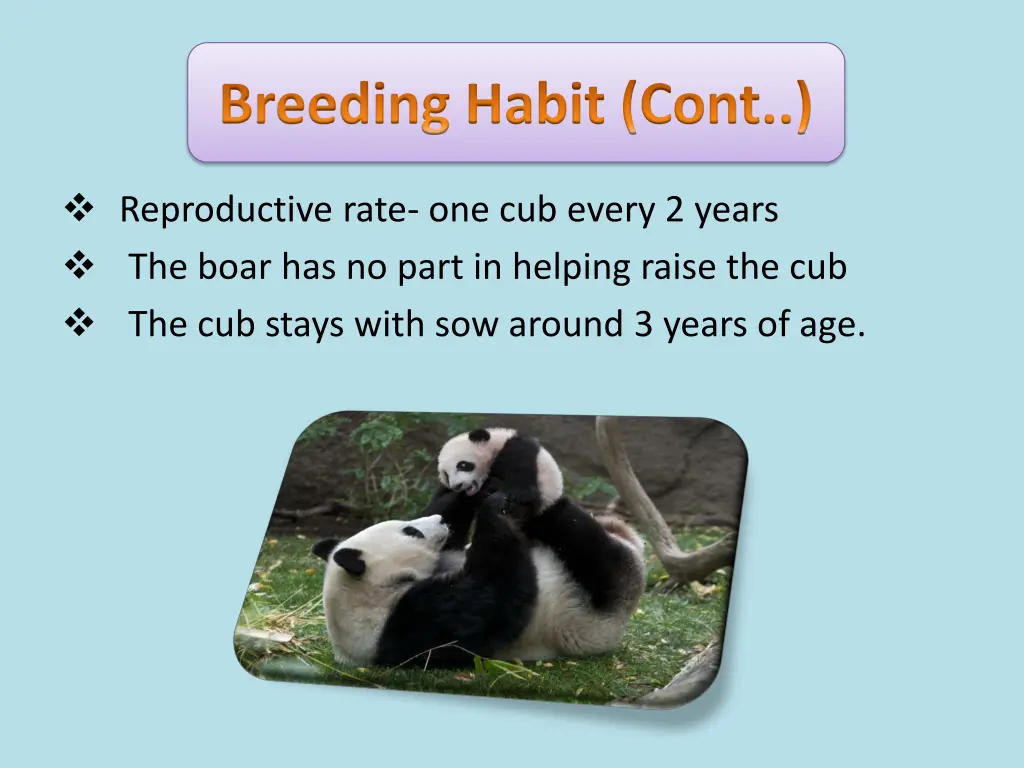 breeding habit cont