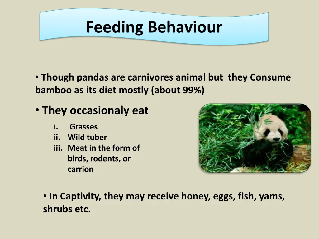 feeding behaviour