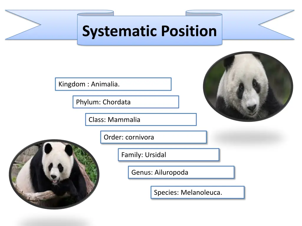 systematic position