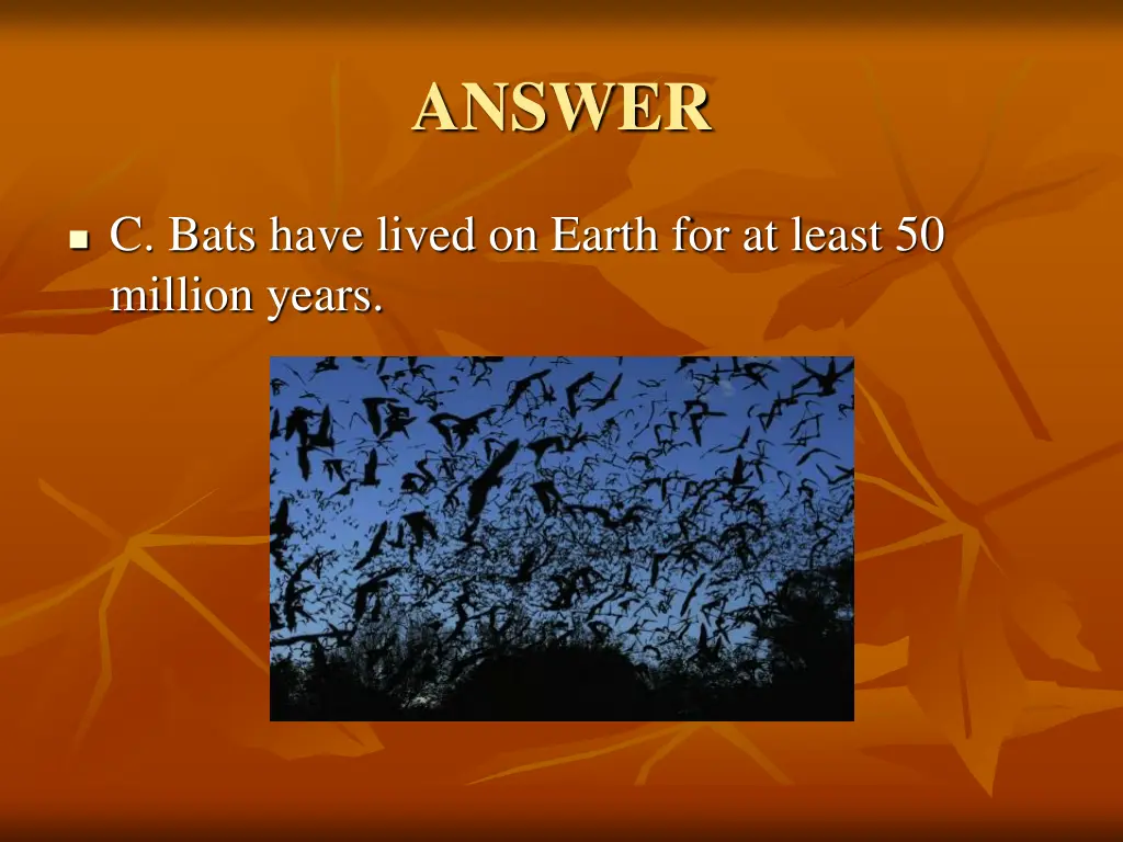 answer 1