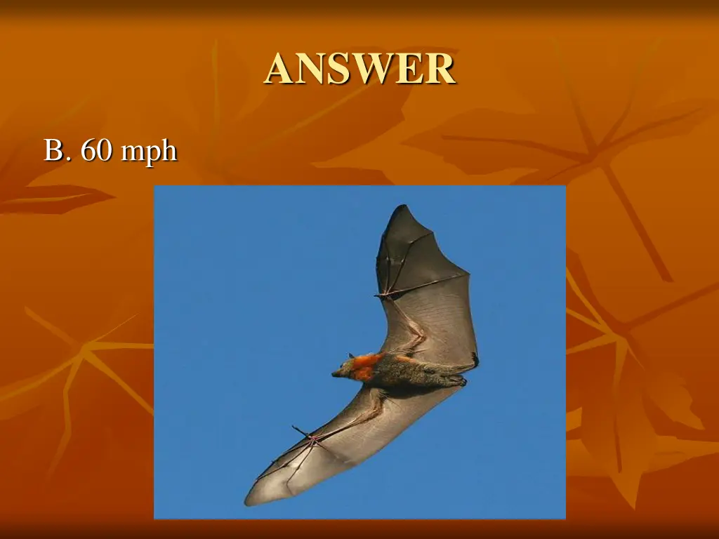 answer 3