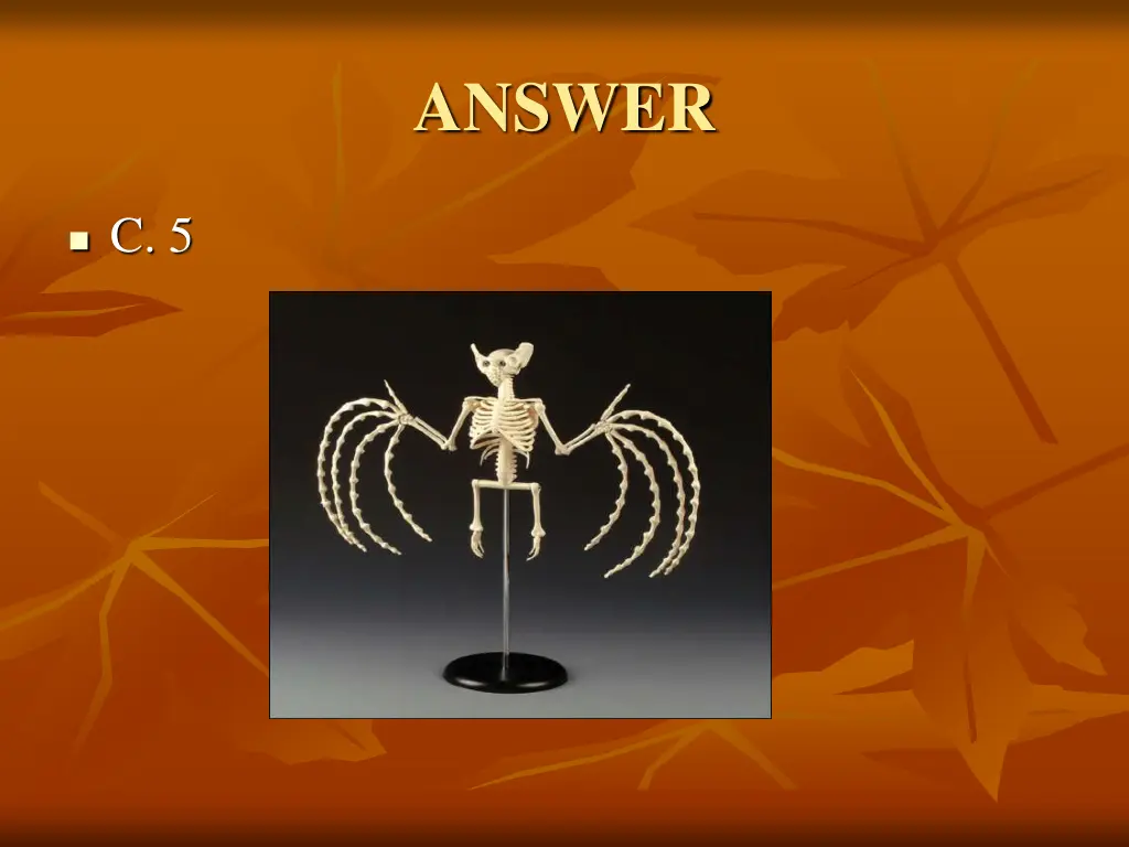 answer 4