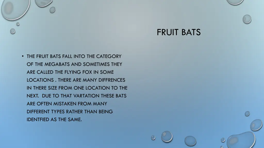 fruit bats 1