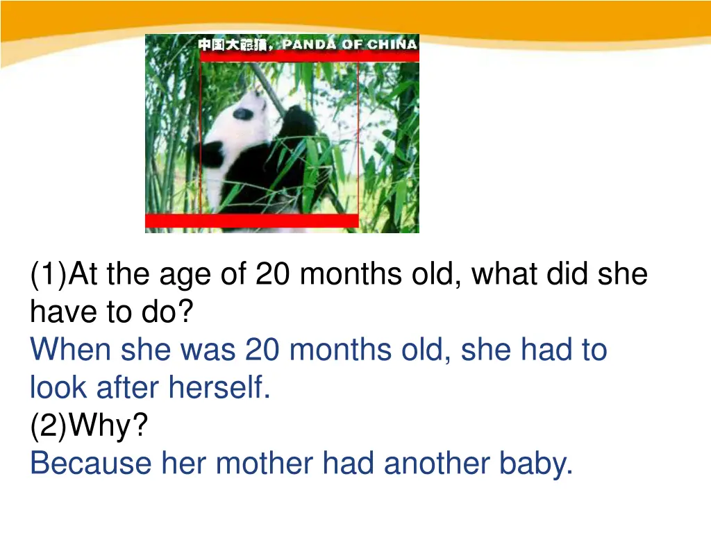 1 at the age of 20 months old what did she have