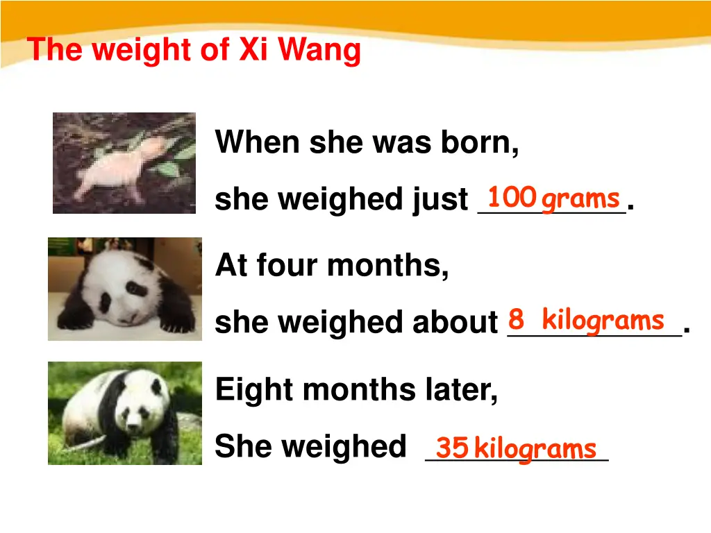 the weight of xi wang