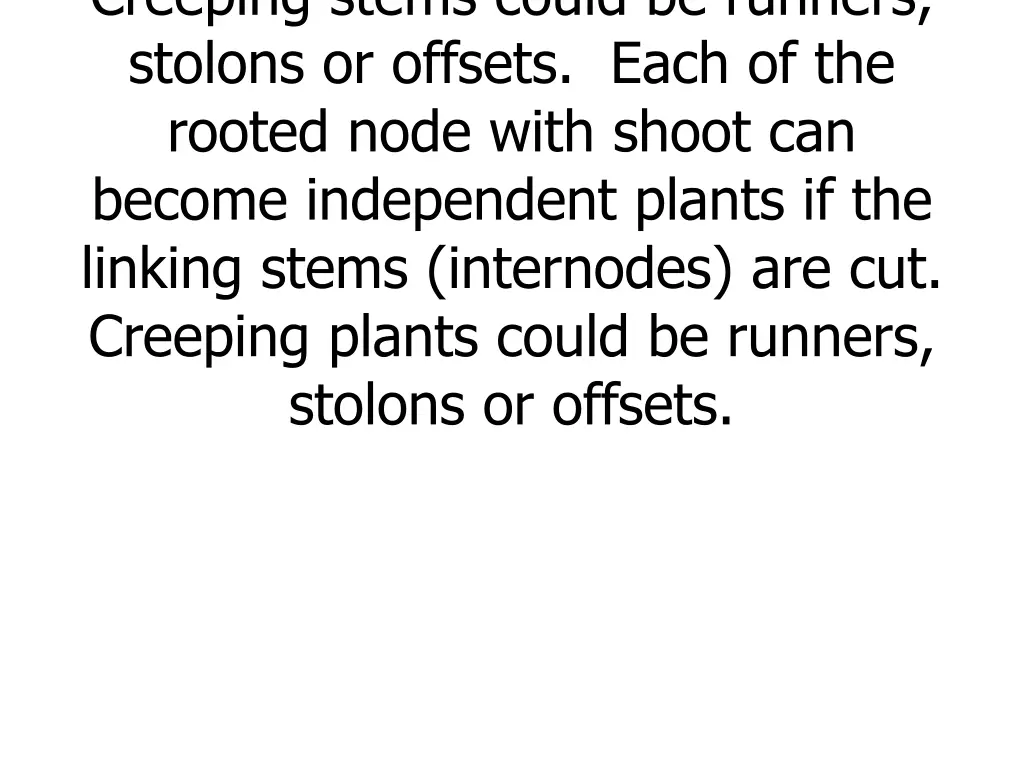 creeping stems could be runners stolons