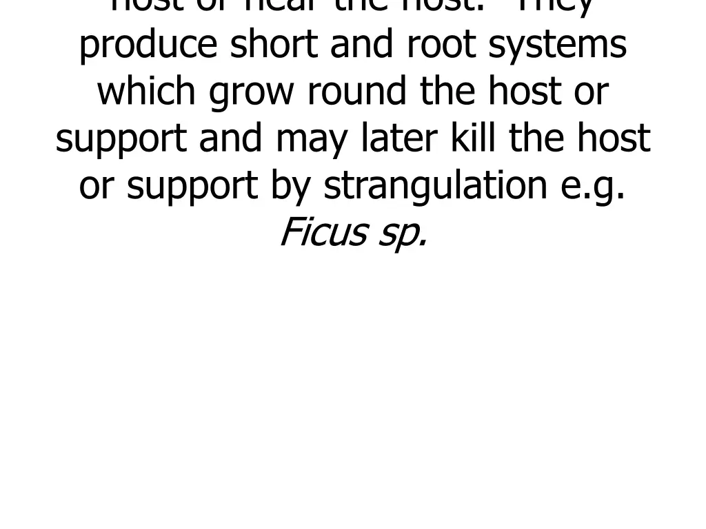 host or near the host they produce short and root