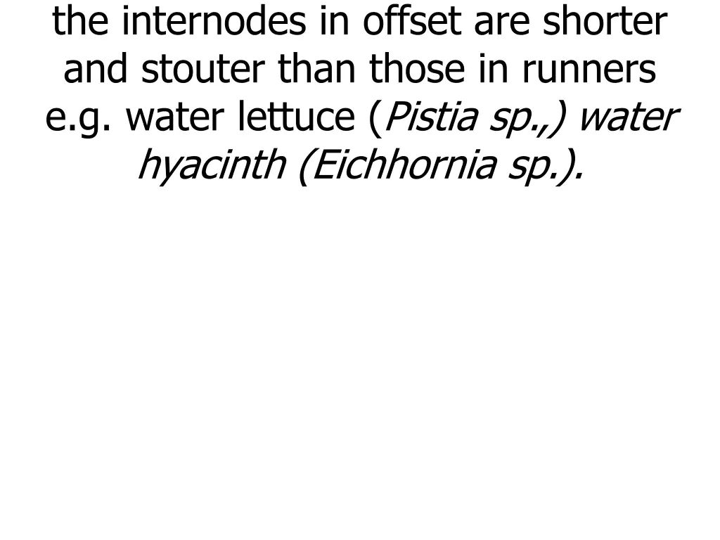 offsets are similar to runners but the internodes