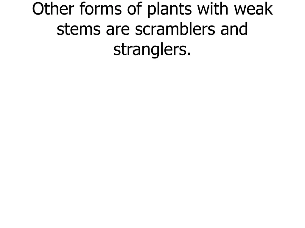 other forms of plants with weak stems