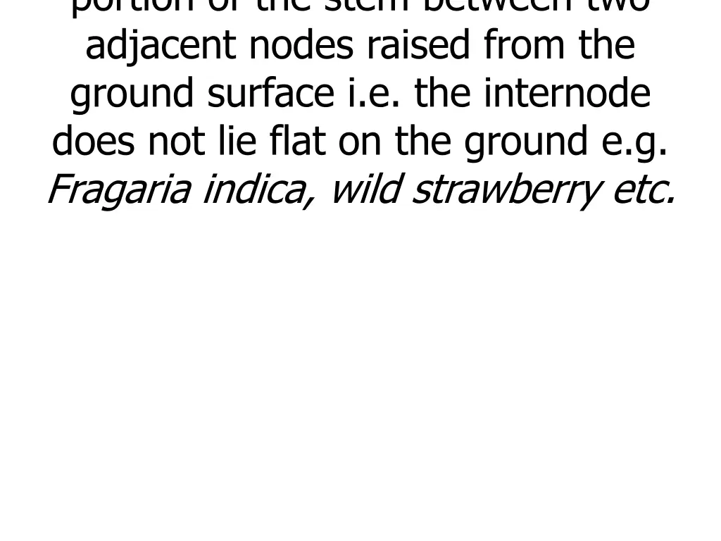 portion of the stem between two adjacent nodes
