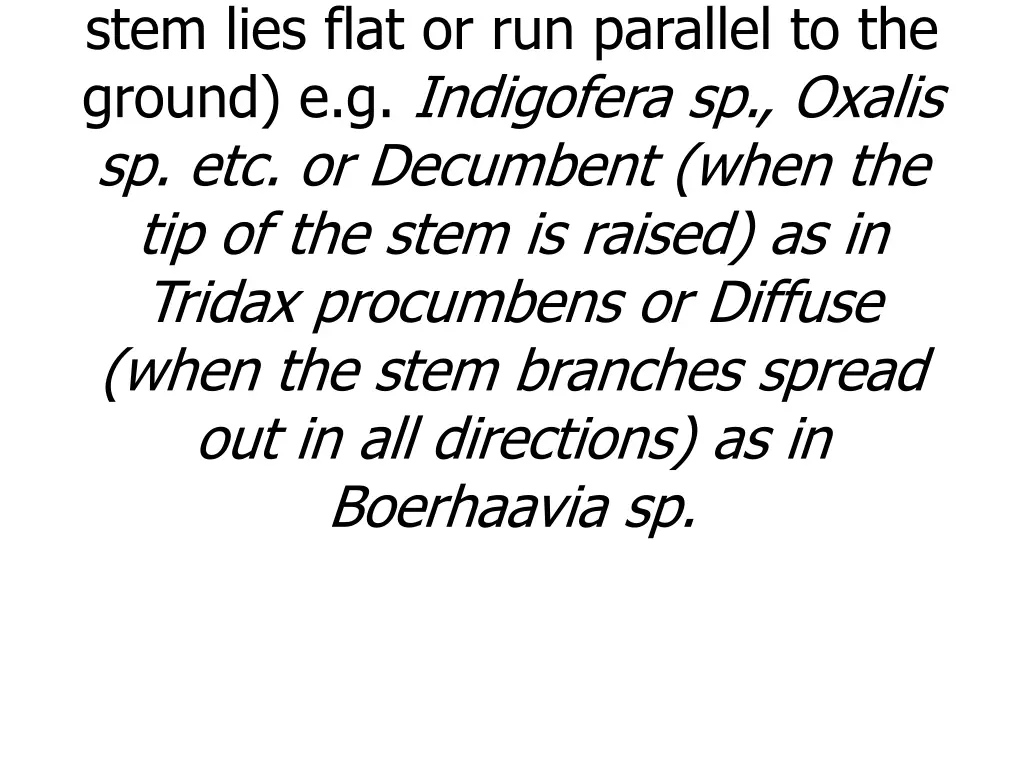 procumbent or prostrate when the stem lies flat