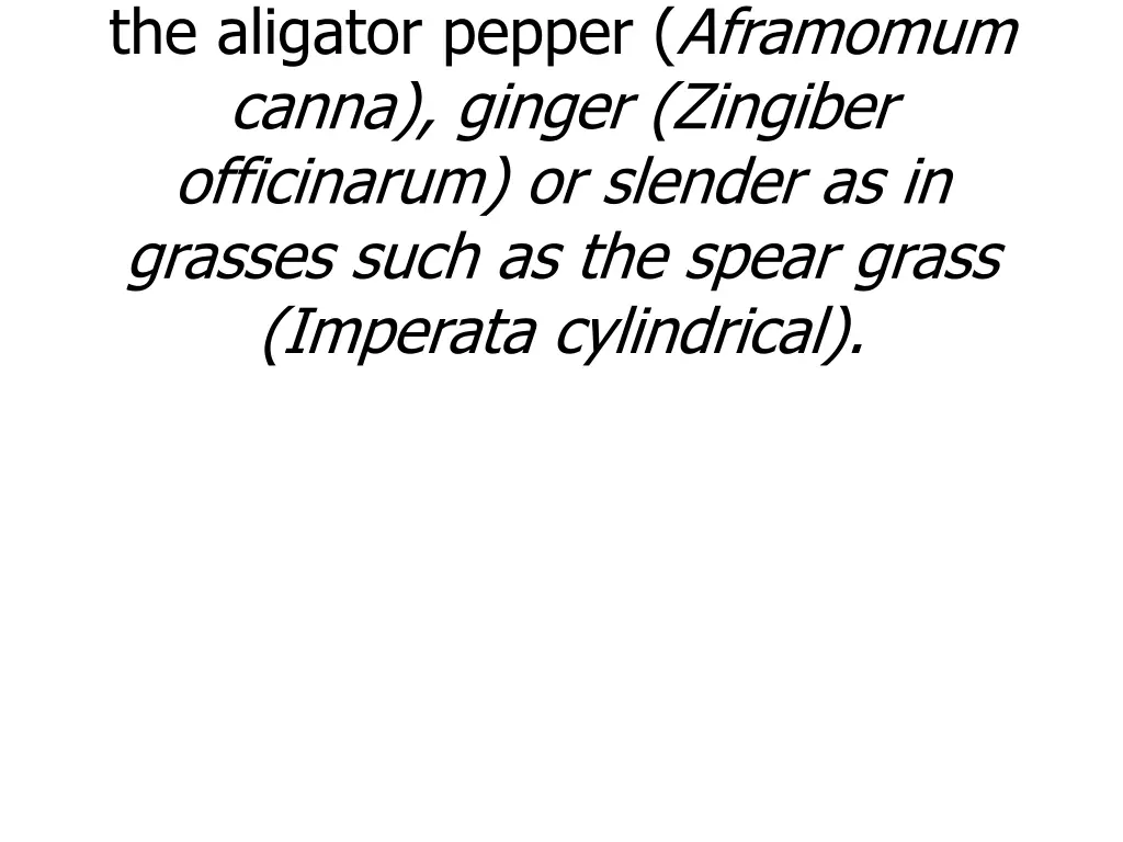 with stored food substance as in the aligator